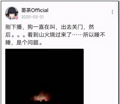 吃瓜娱乐圈打工人